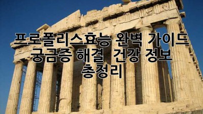 프로폴리스효능🍯 완벽 가이드: 궁금증 해결 & 건강 정보 총정리!