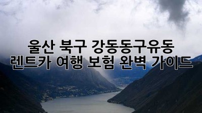 울산 북구 강동동/구유동 렌트카 여행 보험 완벽 가이드